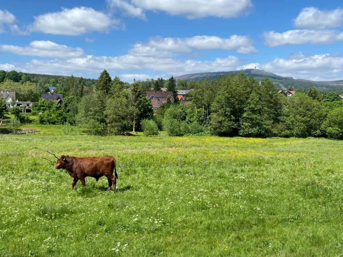 Apartment Berglage - Urlaubzuhause Braunlage