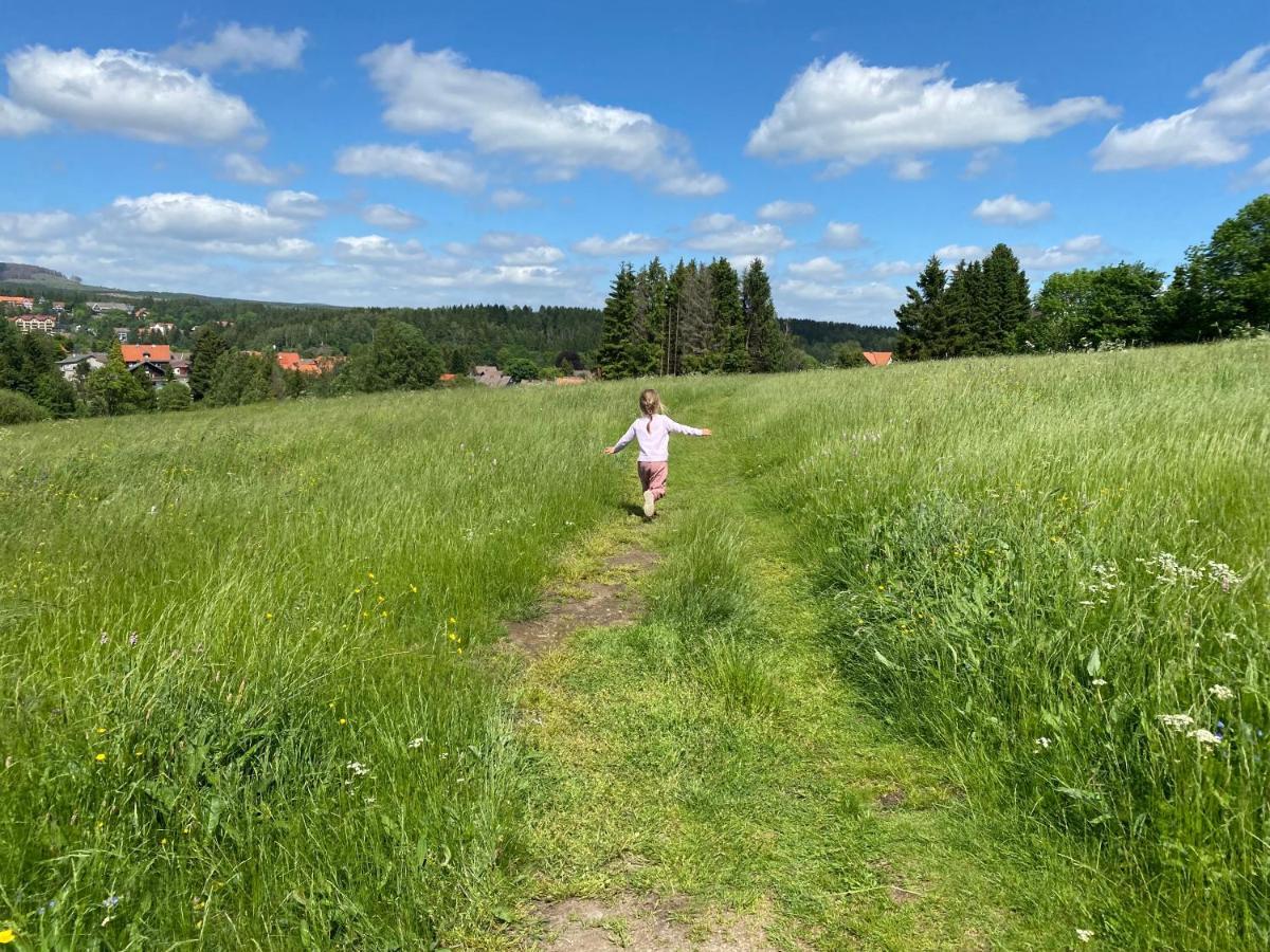 Berglage - Urlaubzuhause Apartment Braunlage
